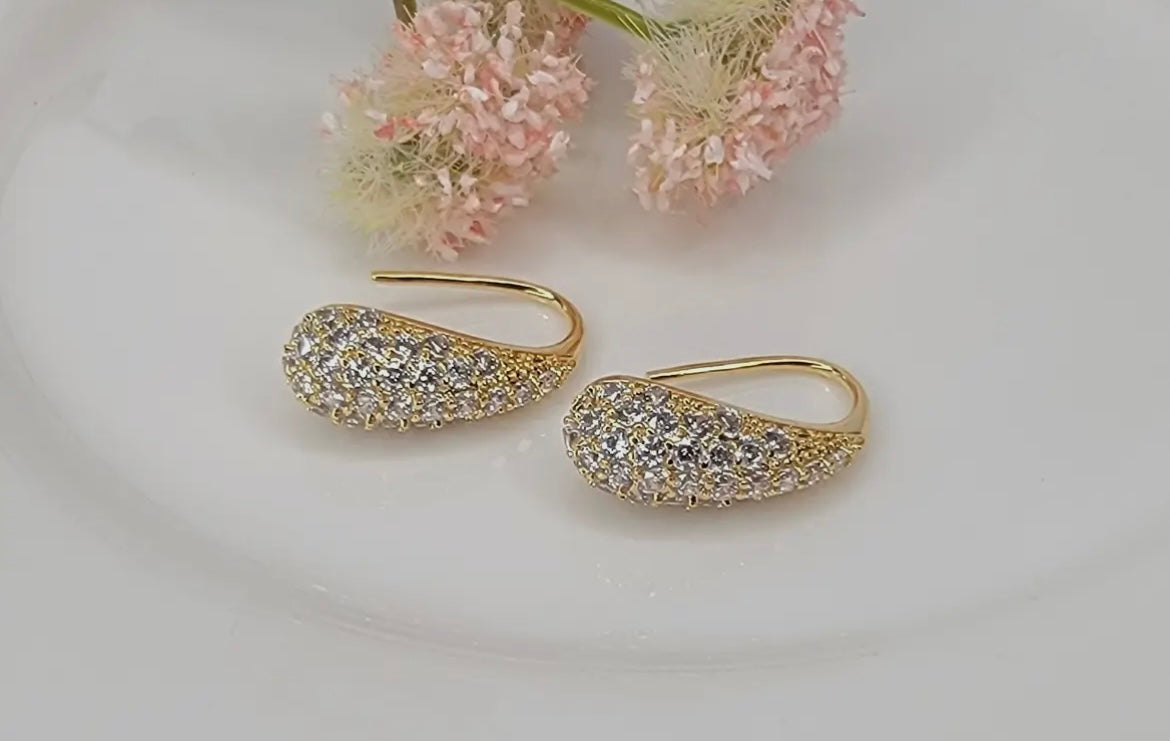 Teardrop Earrings