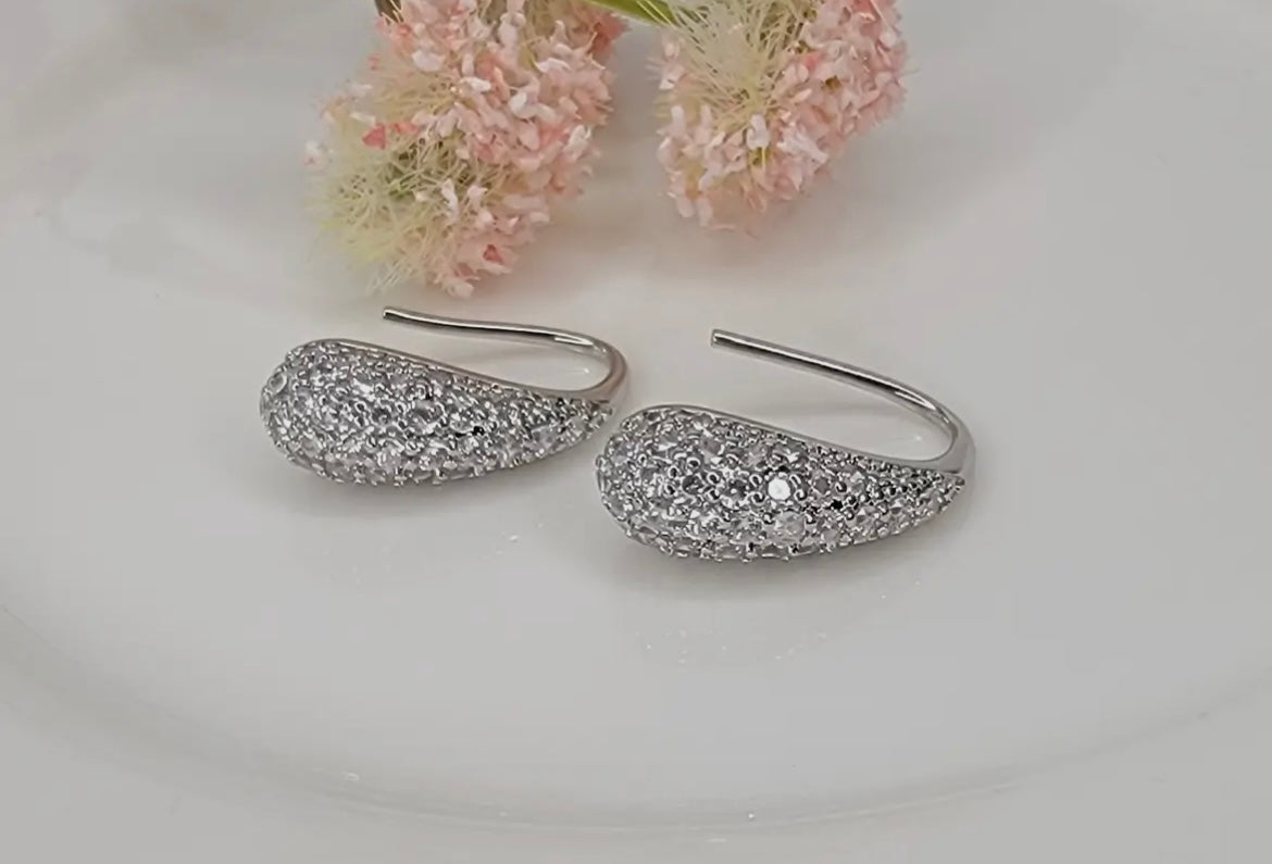 Teardrop Earrings