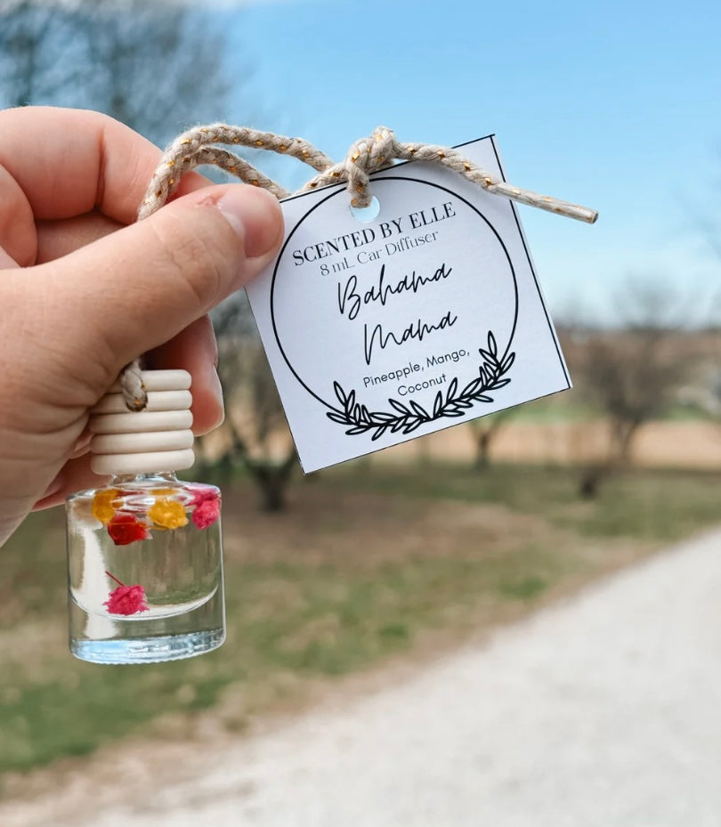Spring/Summer Car Diffusers