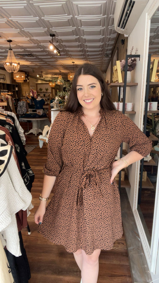 Brown and Black Dotted Dress