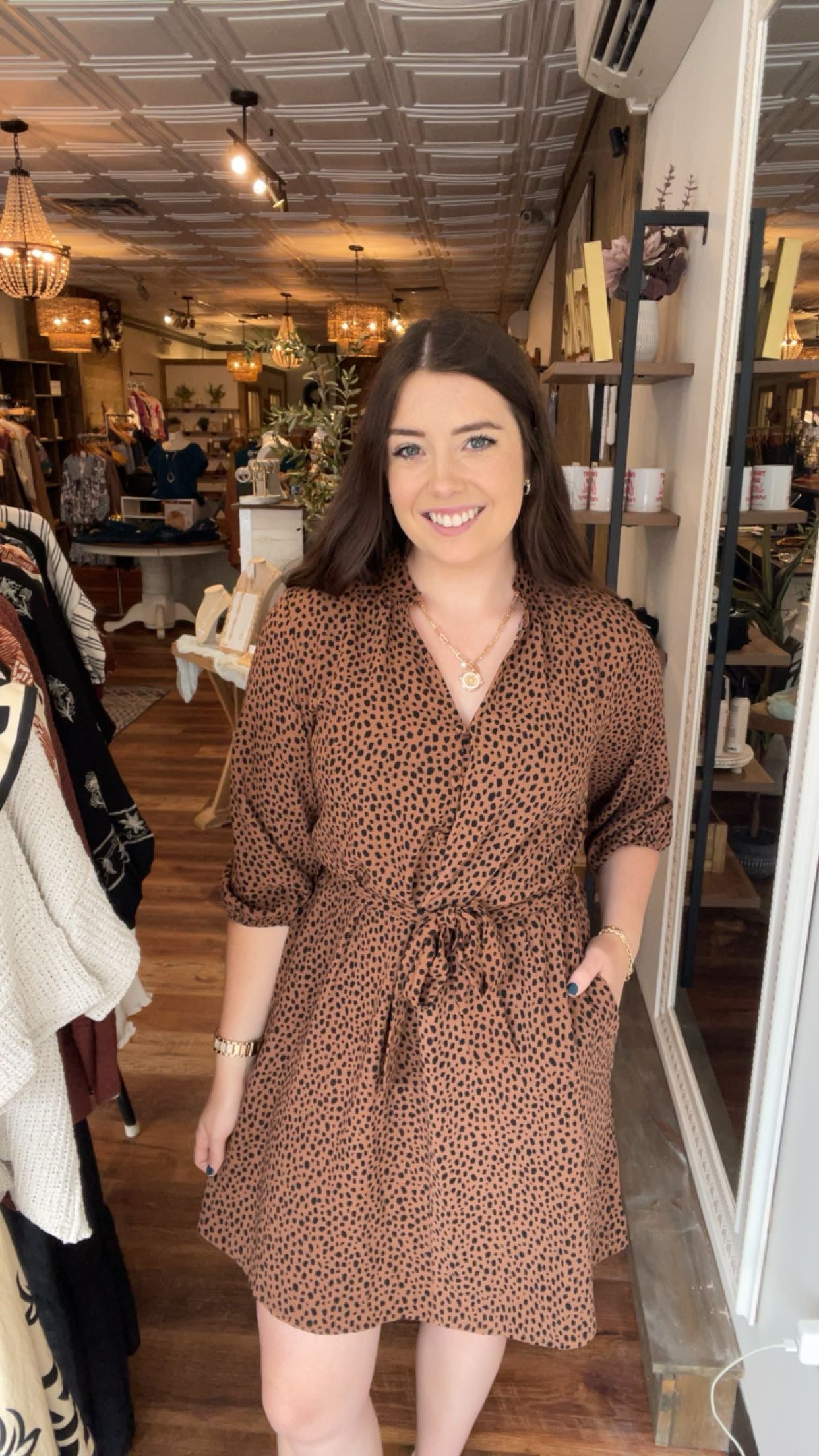 Brown and Black Dotted Dress