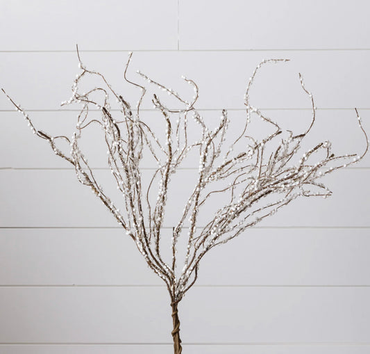 Branch - Ice Crystals And Snow