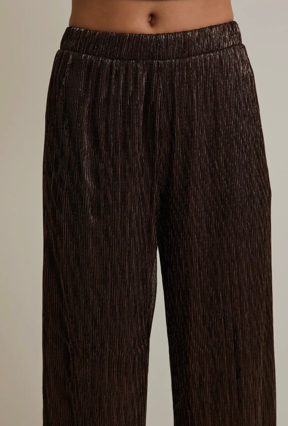 Coco Metallic Pants