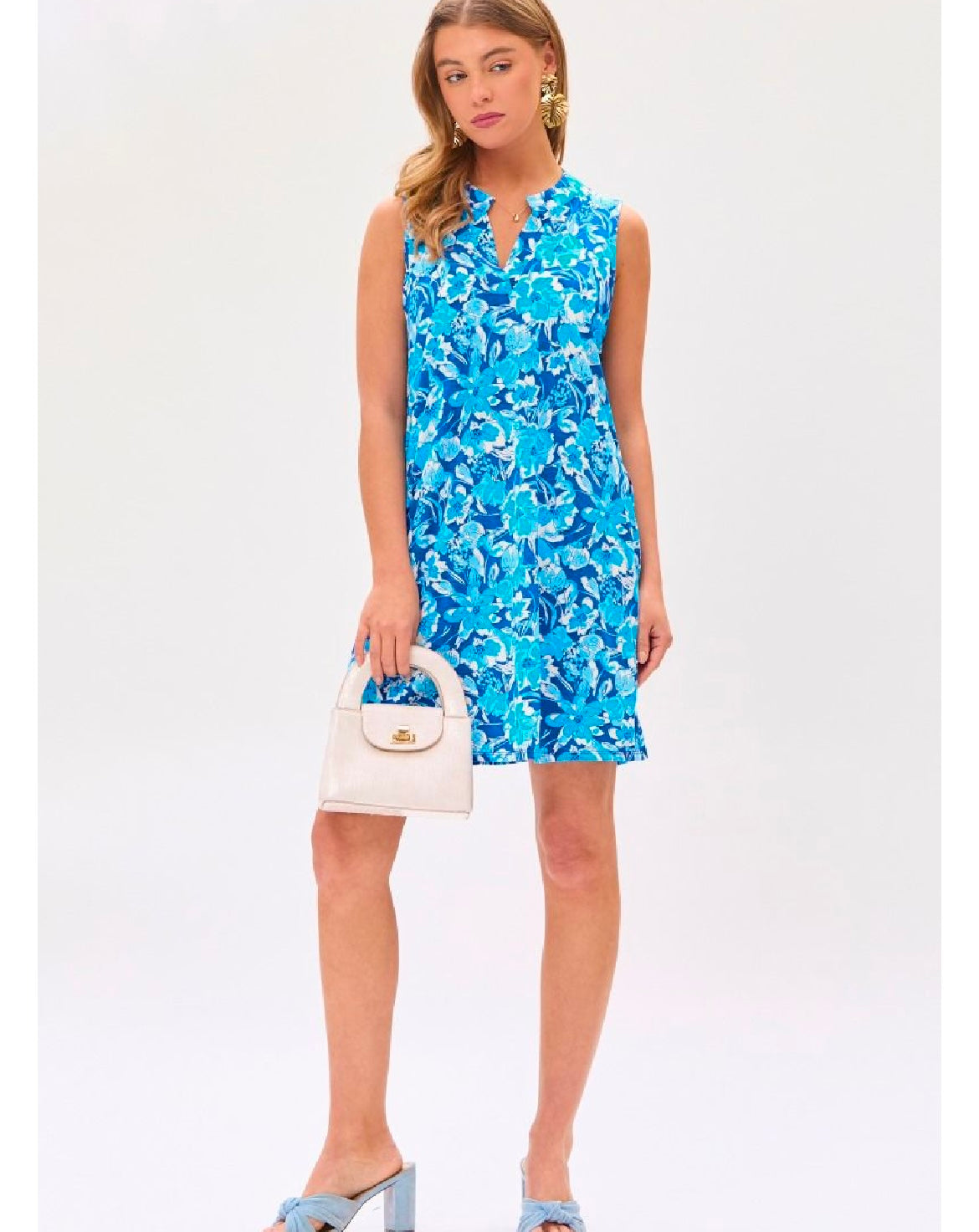 Shades of Blue Floral Sleeveless Dress