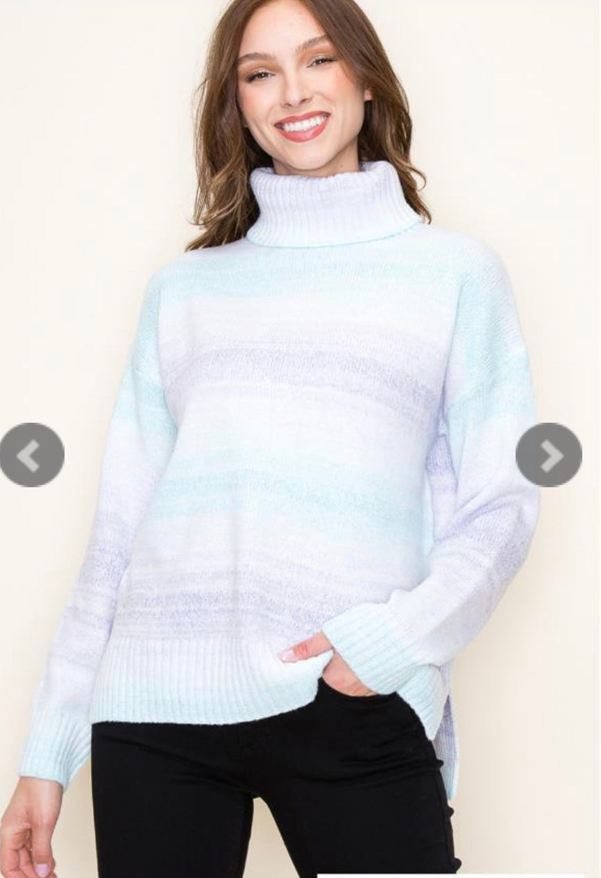 Blue/Lavender Cowl Neck Sweater