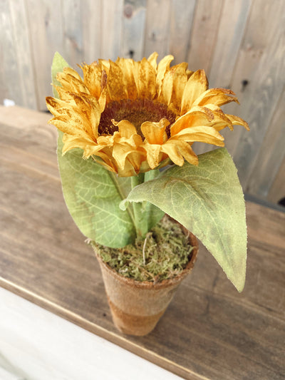 Large Sunflower Peat Pot