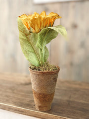 Large Sunflower Peat Pot